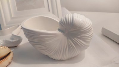 Conchiglia